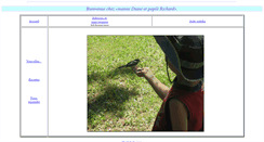 Desktop Screenshot of br1.electronicbox.net