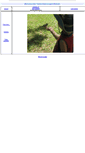 Mobile Screenshot of br1.electronicbox.net