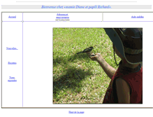 Tablet Screenshot of br1.electronicbox.net